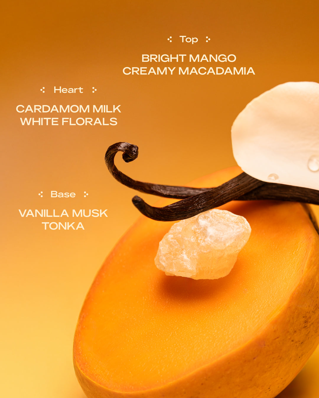 MANGO MUSE by Sheena Melwani – Ruhveda